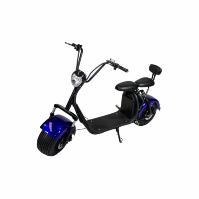 Scooter moto Eléctrico doble asiento, doble freno, 1000w Azul