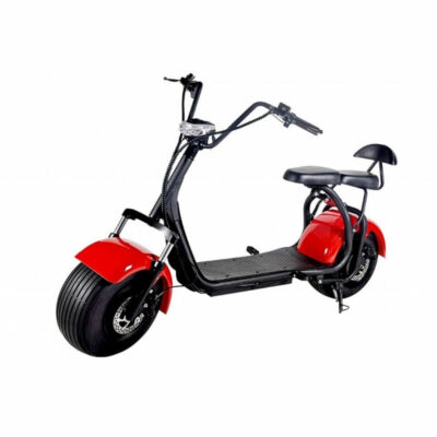 Scooter eléctrico 1000w doble asiento clásica