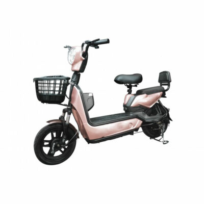Bicicleta eléctrica doble asiento 500w Beige