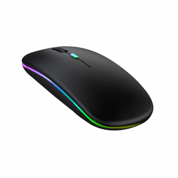 MOUSE LED RGB
