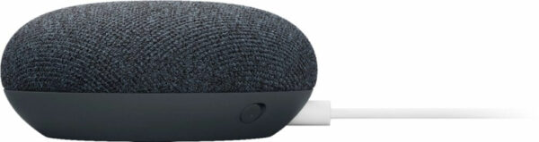 Google nest 2nd GEN GRIS