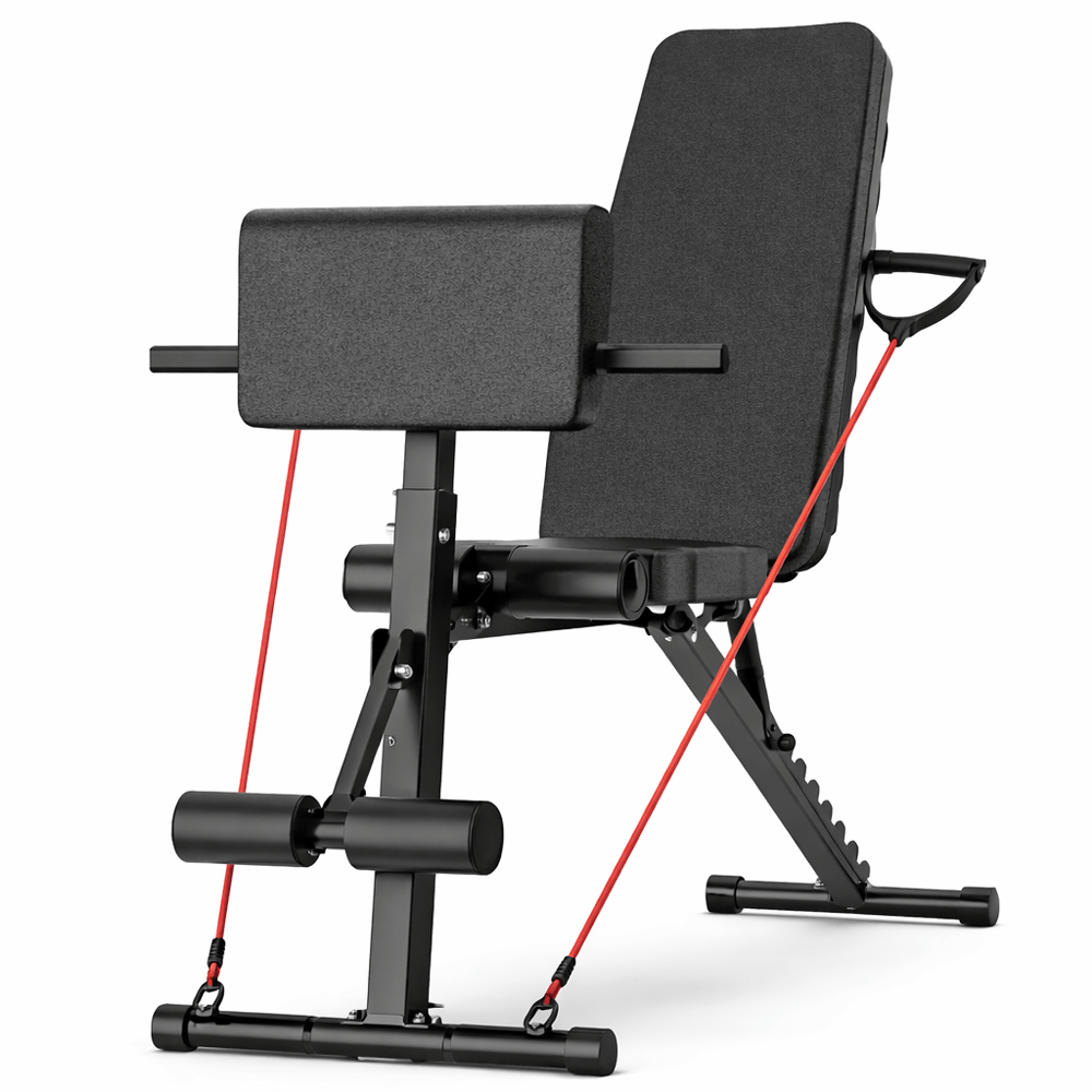 1DENV208.png Banco de Abdominales ENV Core & Cardio