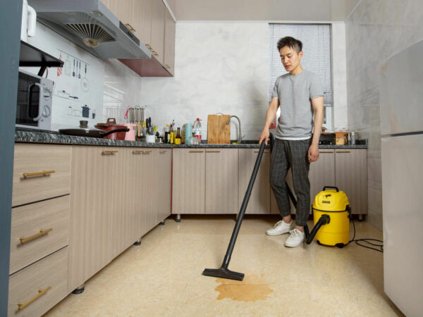 1.098-325.0_3.jpg Aspiradora para Sólidos y Líquidos WD1