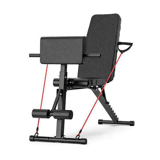 Banco para ejercicio ENV Core & Cardio | Soporta hasta 10 kg Banco de Abdominales ENV Core & Cardio