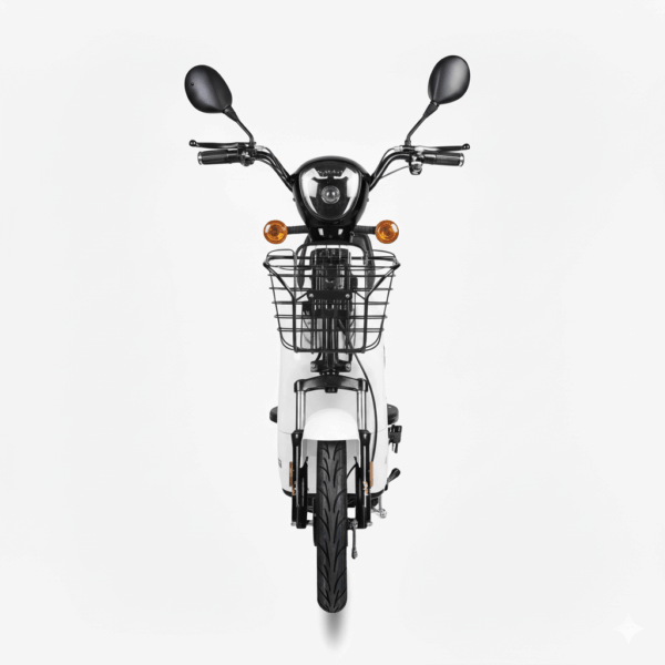 Bicicleta eléctrica ENV JY | 350 W, 12 Ah, 48 V, velocidad máxima 40 km/h BLANCO