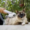9.301-148.0.6.jpg Aspiradora Grooming Mascotas Pet Clean *MX