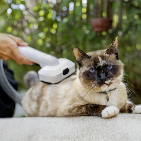 9.301-148.0.6.jpg Aspiradora Grooming Mascotas Pet Clean *MX