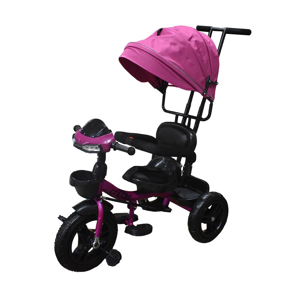 Triciclo Purpura CRE17T308PPU